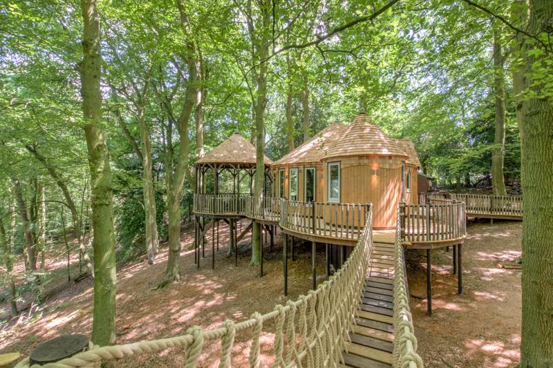 Cedar Hollow Treehouse The Oaks, Old Road, Oxford Oxfordshire OX3 8TA